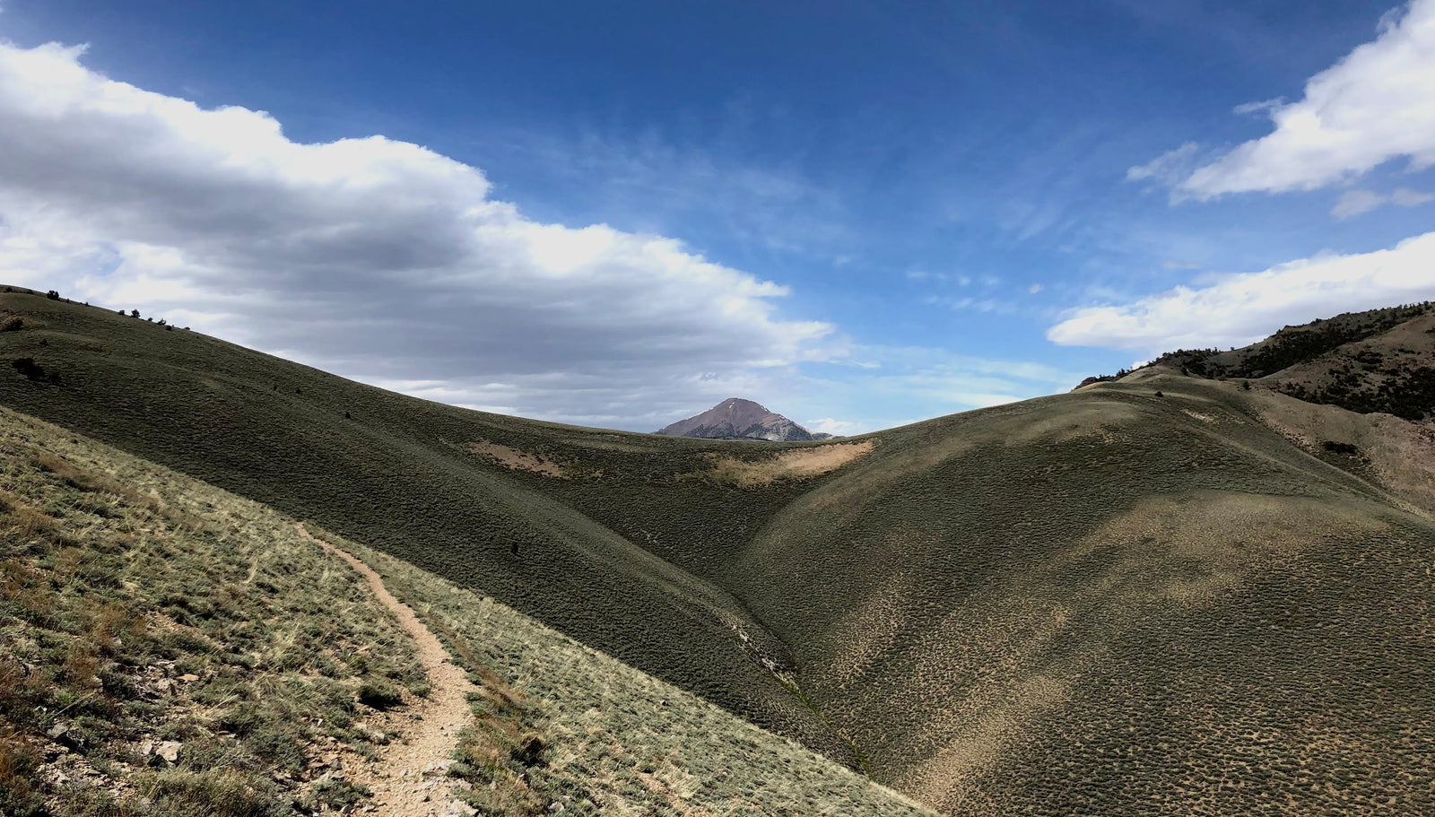 A WEEK ON THE GREAT BASIN TRAIL