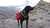 Ultralight backpacking with your dog