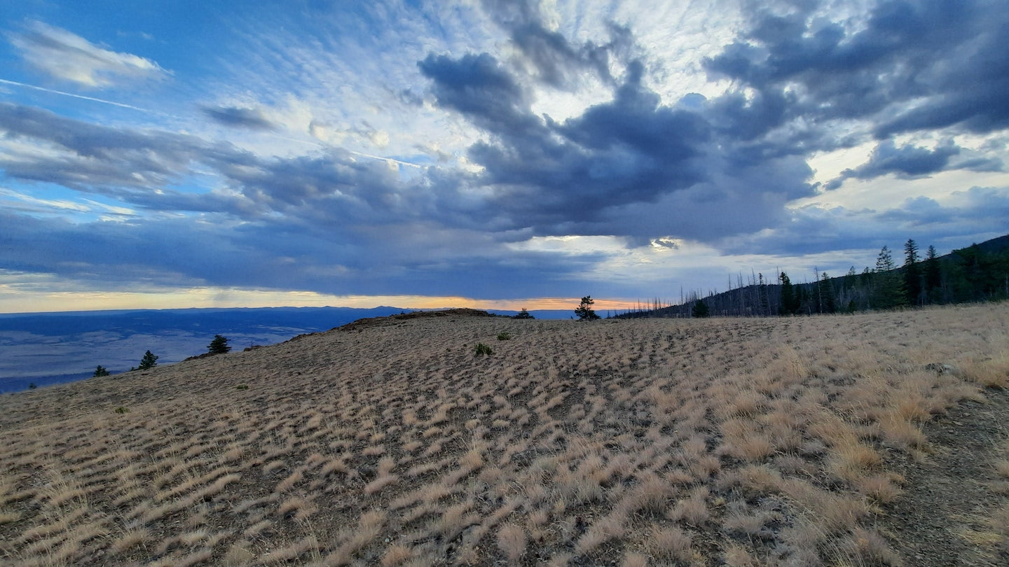 The Blue Mountains Trail - A 60-year vision gains momentum